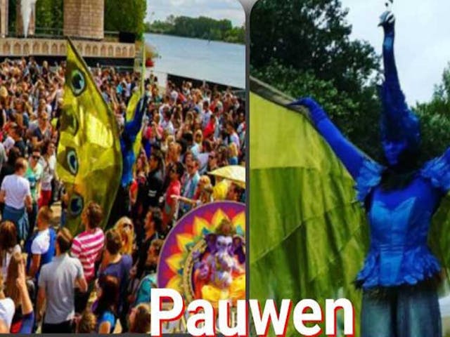 Pauwen